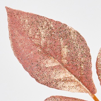 エトワールリーフスプレー - MAGIQ(東京堂)