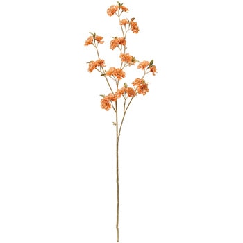 リュミエールブロッサムブランチ - MAGIQ(東京堂)