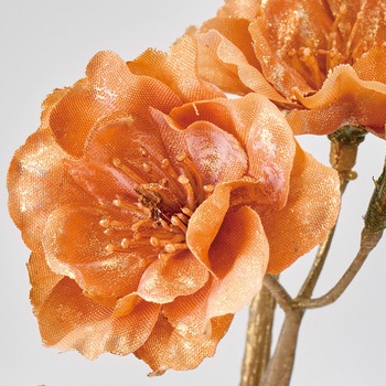 リュミエールブロッサムブランチ - MAGIQ(東京堂)