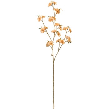 リュミエールブロッサムブランチ - MAGIQ(東京堂)