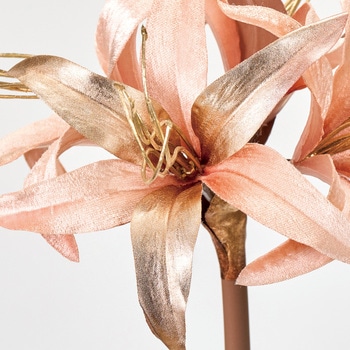 ネリネべルベ MAGIQ(東京堂)