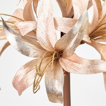 ネリネべルベ MAGIQ(東京堂)