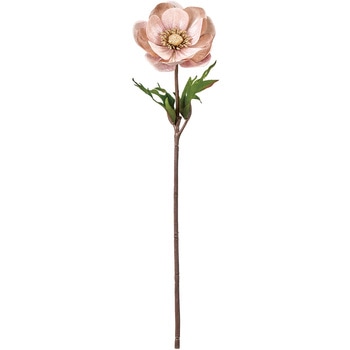 FJ004754-002 �A�l���l�x���x MAGIQ(������) 80188440