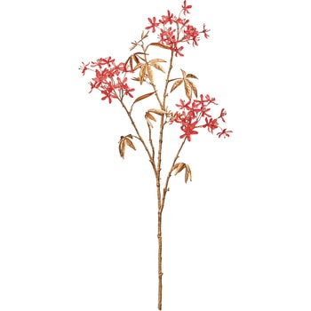 綺羅の花枝 MAGIQ(東京堂)