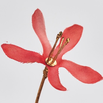 綺羅の花枝 MAGIQ(東京堂)