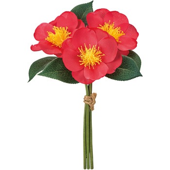 FJ003836-003 փsbN MAGIQ() 1(3{) FJ003836-003 80188668