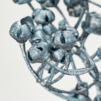 メタリックナッツベリー MAGIQ(東京堂)