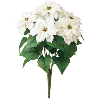 メリーポインセチアブッシュ5輪 - MAGIQ(東京堂)