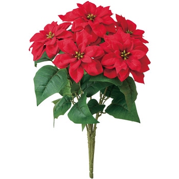 メリーポインセチアブッシュ5輪 - MAGIQ(東京堂)