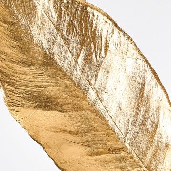 ゴールドレモンリーフ MAGIQ(東京堂)