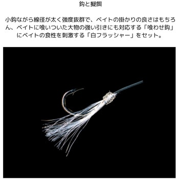 喰わせサビキ 玄海・平戸沖スペシャル HAYABUSA