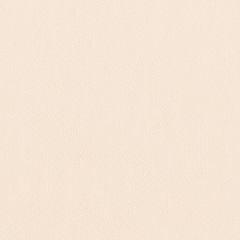 一般壁紙 VWALL Lilycolor British Colours リリカラ