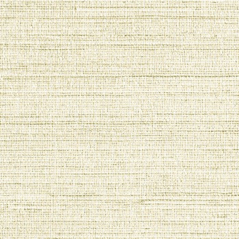 一般壁紙 VWALL カラーバリエーション リリカラ