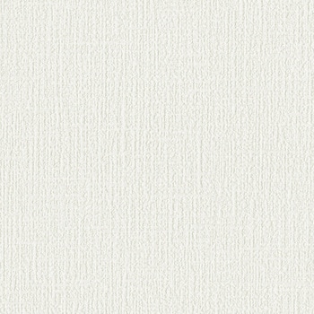 一般壁紙 VWALL アンチダスト - リリカラ
