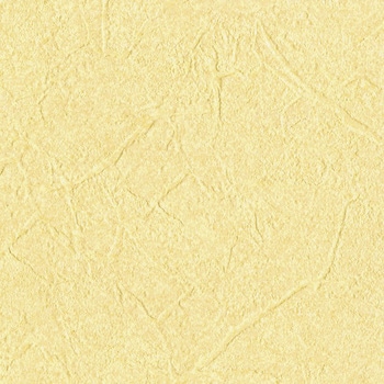 一般壁紙 VWALL 石目調 リリカラ