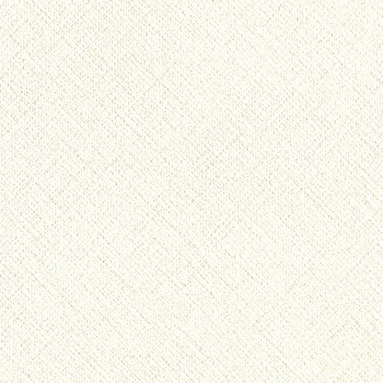 一般壁紙 VWALL 織物調 リリカラ