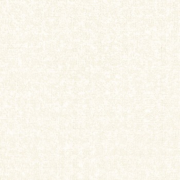 一般壁紙 VWALL 天井 リリカラ
