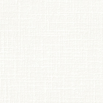 一般壁紙 VWALL 天井 リリカラ