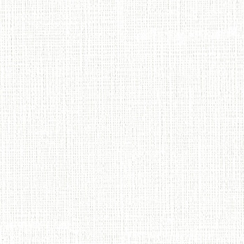 一般壁紙 VWALL 天井 リリカラ