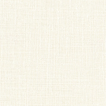 一般壁紙 VWALL 天井 リリカラ