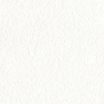 一般壁紙 VWALL 天井 リリカラ