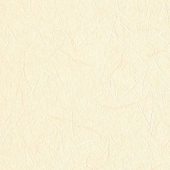 一般壁紙 VWALL 和調 リリカラ