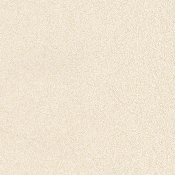 一般壁紙 VWALL 耐クラック - 撥水トップコート・表面強化 - リリカラ