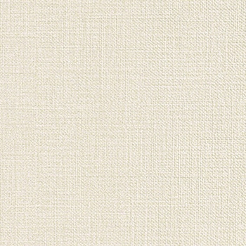 一般壁紙 VWALL 耐クラック - 撥水トップコート・表面強化 - リリカラ