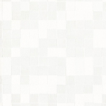 一般壁紙 VWALL 消臭+汚れ防止 リリカラ