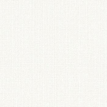 一般壁紙 VWALL 消臭+汚れ防止 リリカラ