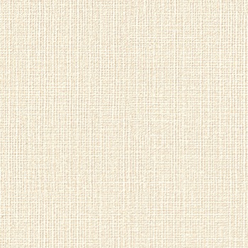 一般壁紙 VWALL 消臭+汚れ防止 リリカラ
