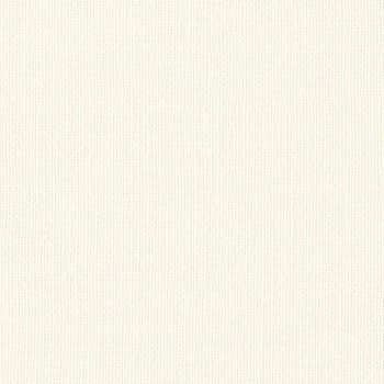 一般壁紙 VWALL 消臭+汚れ防止 リリカラ