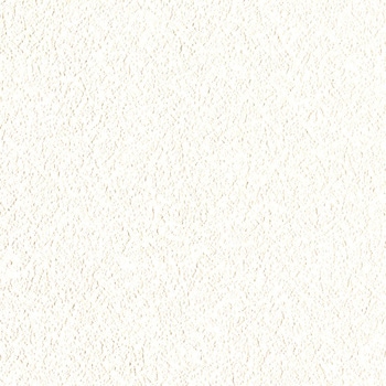一般壁紙 VWALL 通気性 リリカラ