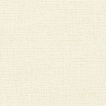 一般壁紙 VWALL 吸放湿 リリカラ