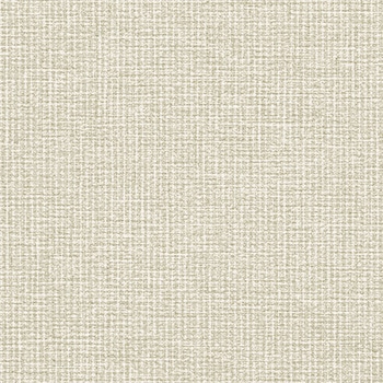 一般壁紙 VWALL 吸放湿 - リリカラ