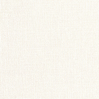 一般壁紙 VWALL 抗アレルゲン リリカラ