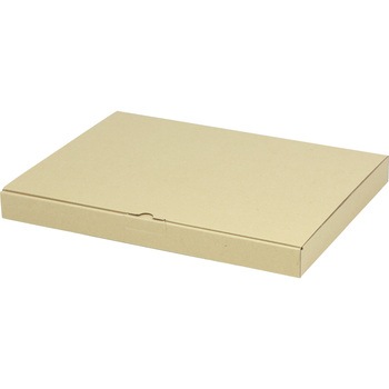 EE-124 ��p�M�t�g��3cm ���}�j�p�b�P�[�W �`��1���g���� 80291708