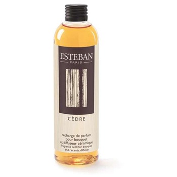 ESTEBAN(エステバン)フレグランス 日本香堂