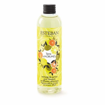 ESTEBAN(エステバン)フレグランス 日本香堂