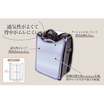 らんらんCAP 背中パッド エール