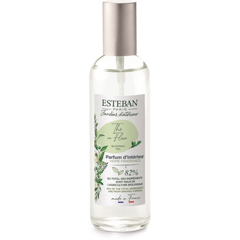 - ESTEBAN(GXeo)CeAK[fi`[ [Xv[ { 80305568