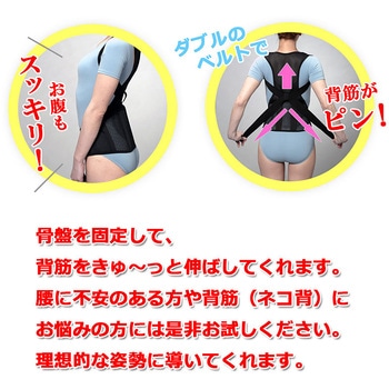 骨盤グイッと背筋Sラインベルト 猫背 腰痛対策 背筋骨盤補正 アクセス
