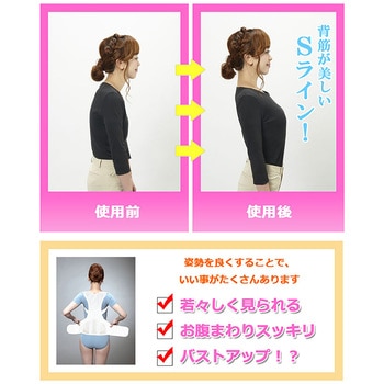 骨盤グイッと背筋Sラインベルト 猫背 腰痛対策 背筋骨盤補正 アクセス