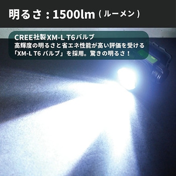 CREE XM-L T6 充電式ヘッドライト GLOBAL&LOCAL