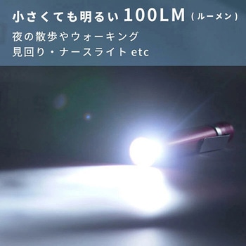 1W LEDペンライト GLOBAL&LOCAL