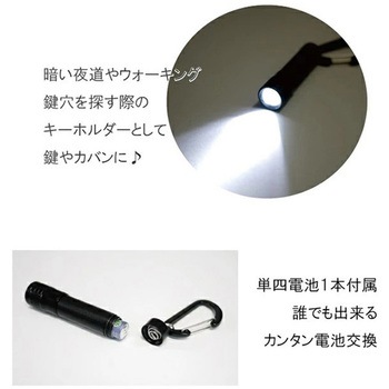 1LEDカラビナミニライト GLOBAL&LOCAL