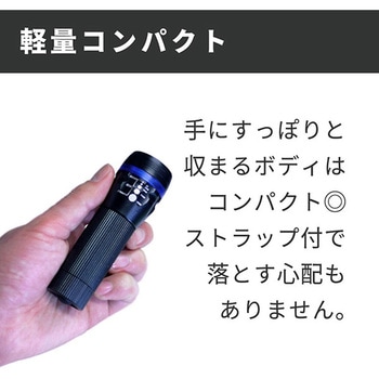 CREE LEDズームハンドライト・ブルー GLOBAL&LOCAL