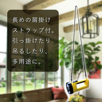 3W充電式ハンディライト GLOBAL&LOCAL