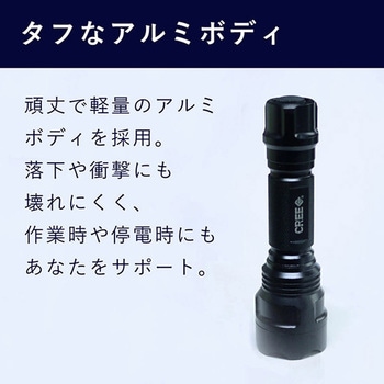 CREE LEDルミナスライト 充電セット 700lm 7w GLOBAL&LOCAL