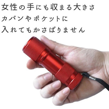 コンパクト強力9LEDハンドライト GLOBAL&LOCAL